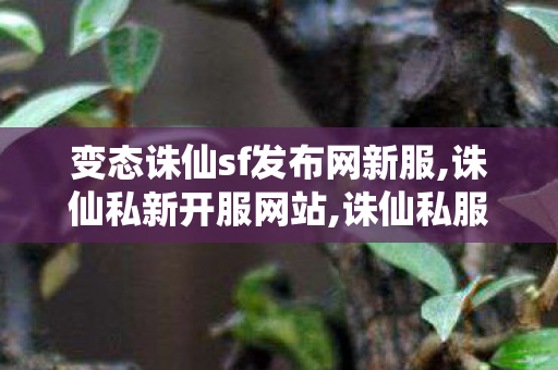 变态诛仙sf发布网新服,诛仙私新开服网站,诛仙私服发布网,诛仙私新开服网站