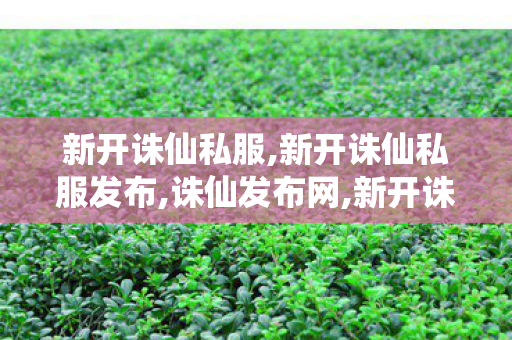 新开诛仙私服,新开诛仙私服发布,诛仙发布网,新开诛仙私服发布