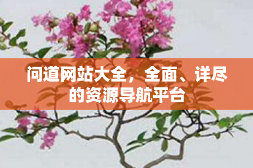 问道网站大全，全面、详尽的资源导航平台