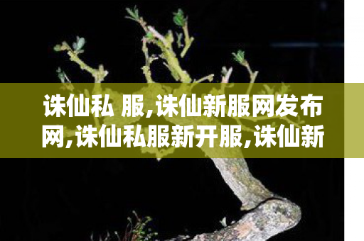 诛仙私 服,诛仙新服网发布网,诛仙私服新开服,诛仙新服网发布网