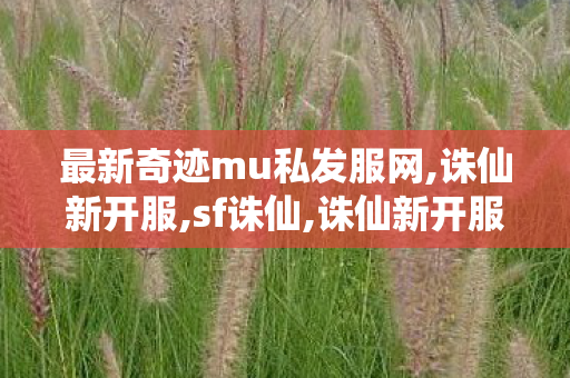 最新奇迹mu私发服网,诛仙新开服,sf诛仙,诛仙新开服