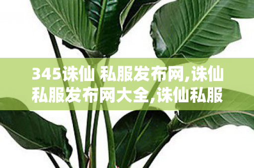345诛仙 私服发布网,诛仙私服发布网大全,诛仙私服发布站,诛仙私服发布网大全
