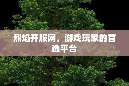 烈焰开服网，游戏玩家的首选平台