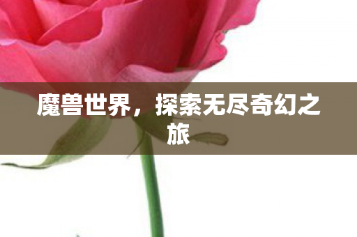 魔兽世界，探索无尽奇幻之旅
