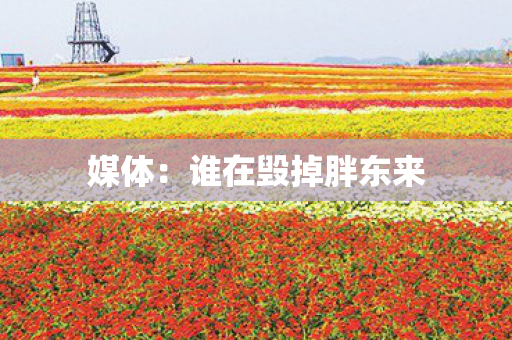 媒体：谁在毁掉胖东来