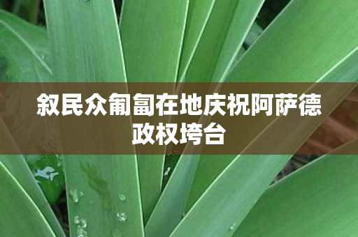 叙民众匍匐在地庆祝阿萨德政权垮台