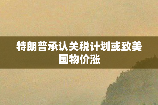 特朗普承认关税计划或致美国物价涨