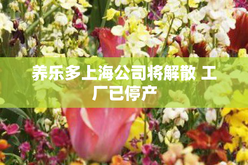 养乐多上海公司将解散 工厂已停产