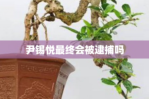 尹锡悦最终会被逮捕吗