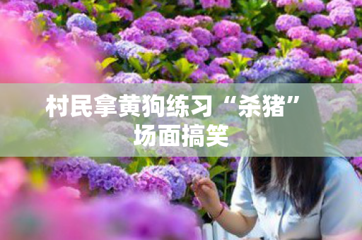 村民拿黄狗练习“杀猪” 场面搞笑