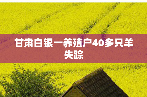 甘肃白银一养殖户40多只羊失踪
