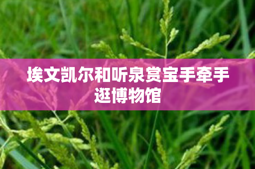 埃文凯尔和听泉赏宝手牵手逛博物馆