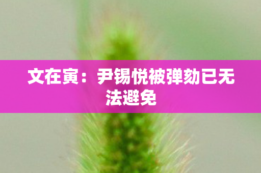 文在寅：尹锡悦被弹劾已无法避免