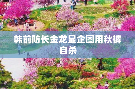 韩前防长金龙显企图用秋裤自杀