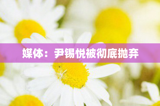 媒体：尹锡悦被彻底抛弃