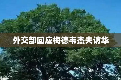 外交部回应梅德韦杰夫访华
