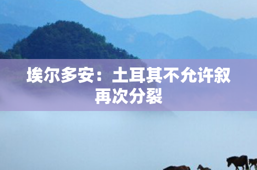 埃尔多安：土耳其不允许叙再次分裂