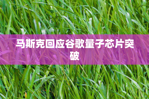 马斯克回应谷歌量子芯片突破