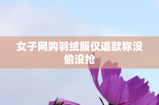 女子网购羽绒服仅退款称没偷没抢