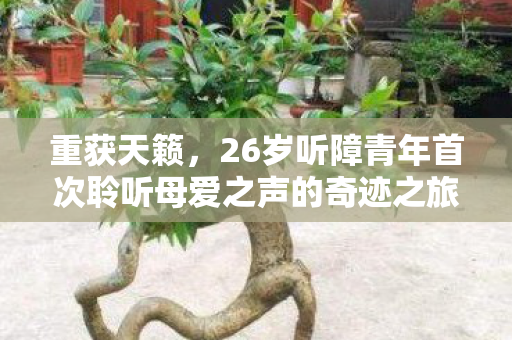 重获天籁，26岁听障青年首次聆听母爱之声的奇迹之旅