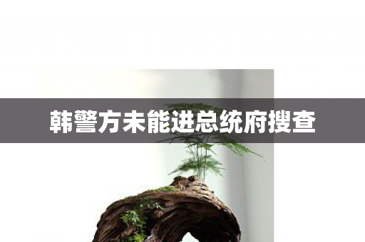韩警方未能进总统府搜查
