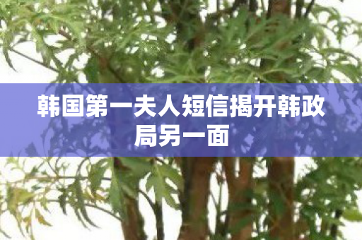 韩国第一夫人短信揭开韩政局另一面