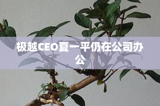 极越CEO夏一平仍在公司办公