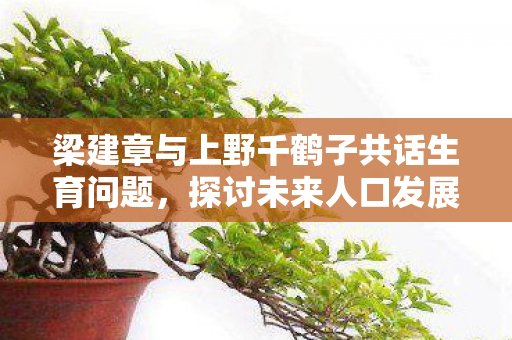 梁建章与上野千鹤子共话生育问题，探讨未来人口发展策略与家庭价值观念