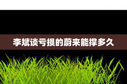 李斌谈亏损的蔚来能撑多久