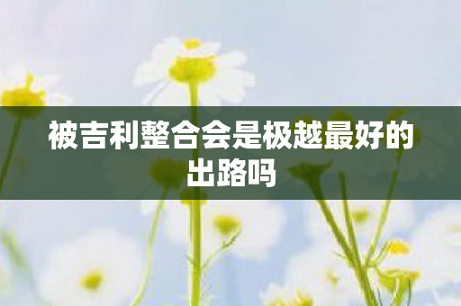被吉利整合会是极越最好的出路吗