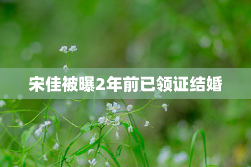 宋佳被曝2年前已领证结婚