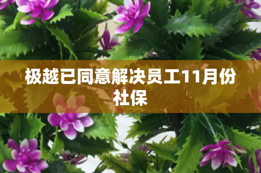 极越已同意解决员工11月份社保