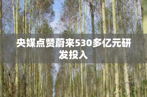 央媒点赞蔚来530多亿元研发投入