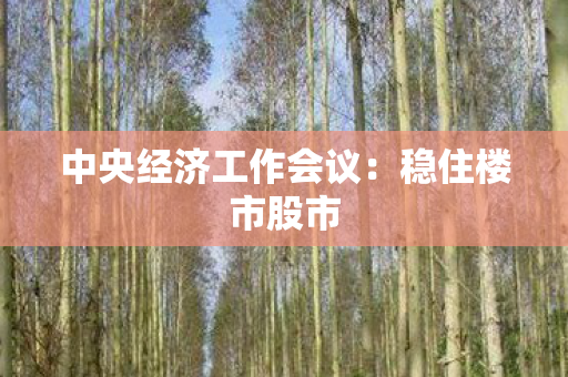 中央经济工作会议：稳住楼市股市