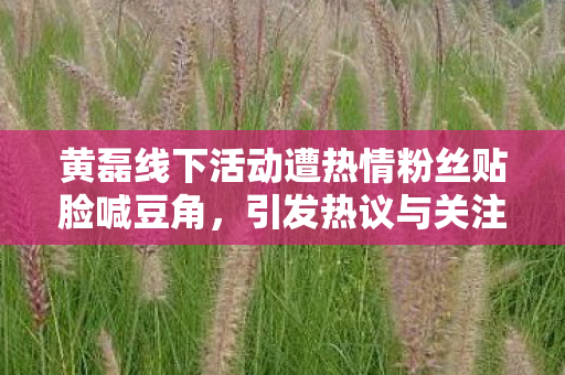 黄磊线下活动遭热情粉丝贴脸喊豆角，引发热议与关注