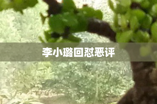 李小璐回怼恶评