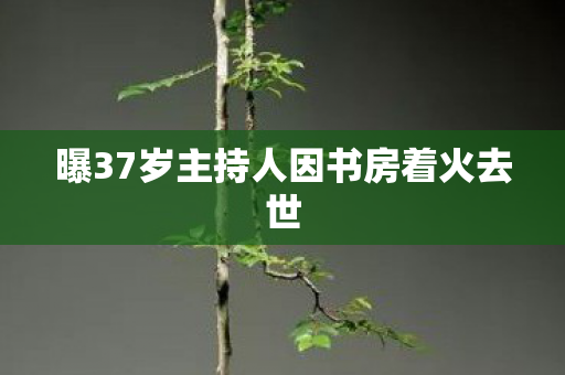 曝37岁主持人因书房着火去世