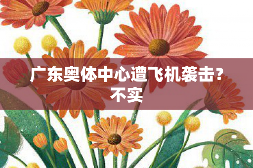 广东奥体中心遭飞机袭击？不实