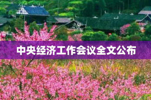 中央经济工作会议全文公布