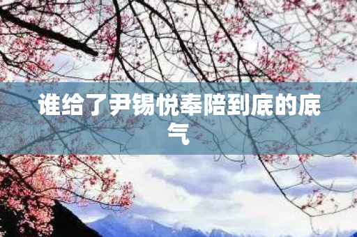 谁给了尹锡悦奉陪到底的底气