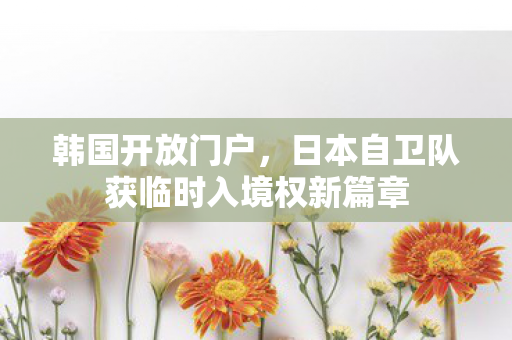 韩国开放门户，日本自卫队获临时入境权新篇章