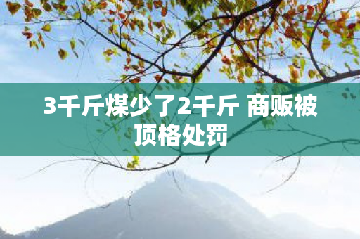 3千斤煤少了2千斤 商贩被顶格处罚