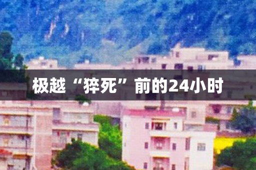 极越“猝死”前的24小时