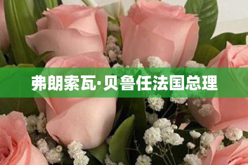 弗朗索瓦·贝鲁任法国总理