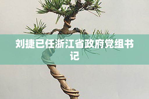 刘捷已任浙江省政府党组书记