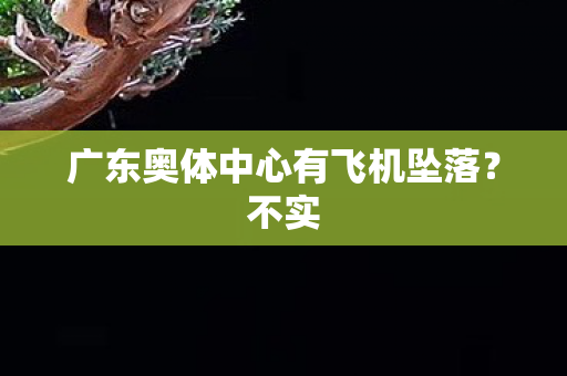 广东奥体中心有飞机坠落？不实