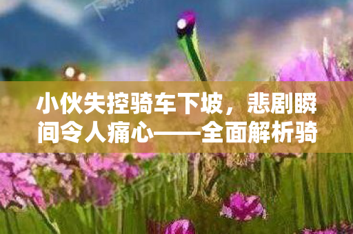 小伙失控骑车下坡，悲剧瞬间令人痛心——全面解析骑行安全的重要性