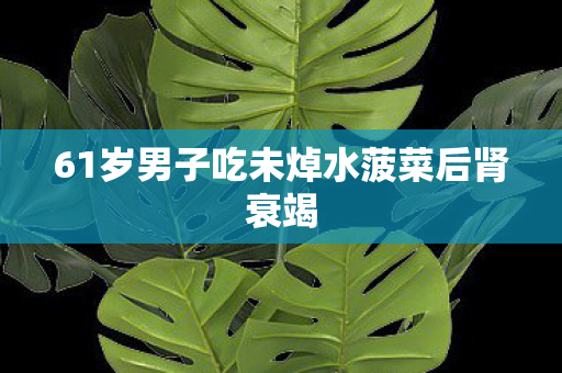 61岁男子吃未焯水菠菜后肾衰竭