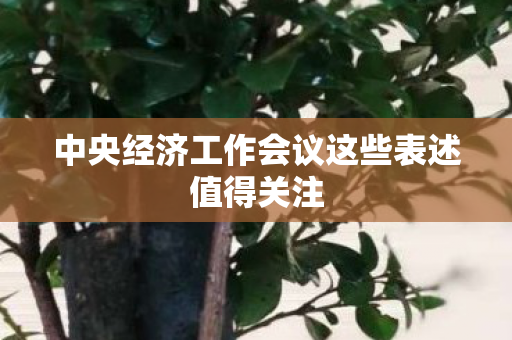 中央经济工作会议这些表述值得关注