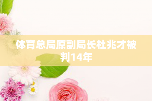 体育总局原副局长杜兆才被判14年